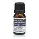 Pure English Lavender essential oil 10ml online shop in Southend stockist