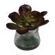 faux echeveria succulent plant in glass jar