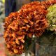 Faux russet hydrangea flower stem by Gisela Graham 