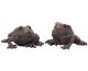 bronze-effect-frog-toad-ornament-pair