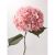 Antique Pink Hydrangea Stem 68cm