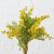 Faux Yellow Mimosa Flower Stem