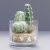 Mixed Faux Cactus in Glass Pot