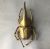 Large Golden Stag Beetle Ornament