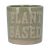 'Plant Based' Ceramic Pot Cover Gisela Graham 